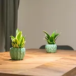 Apartment Without Kitchen And Romiru *