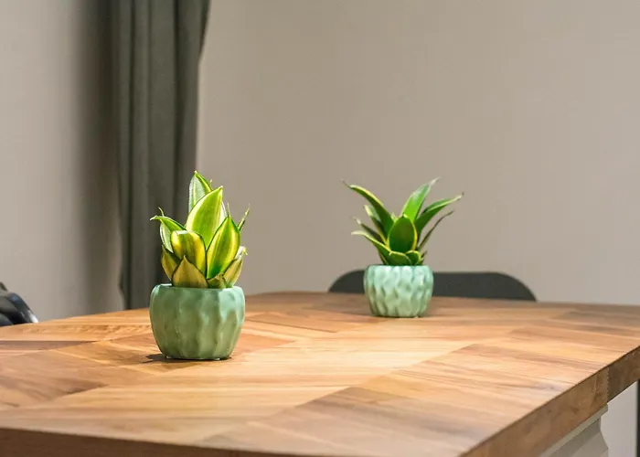 Apartman Without Kitchen And Romiru *