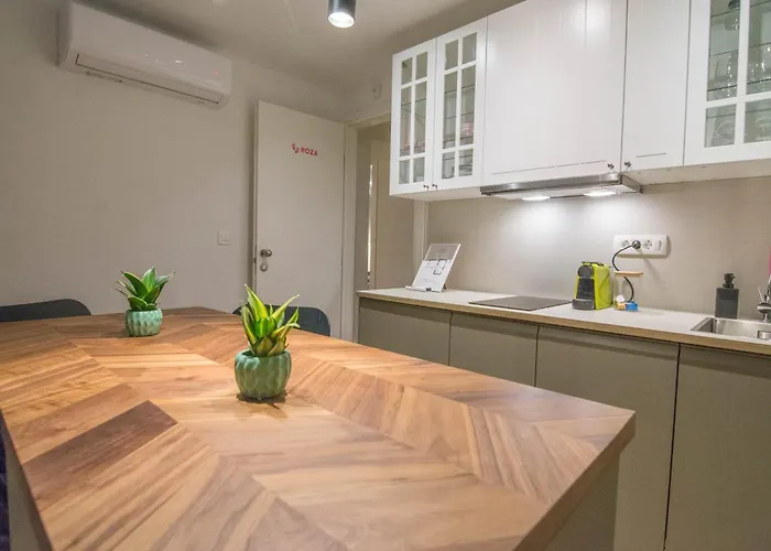 Apartman Without Kitchen And Romiru