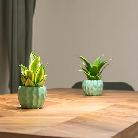 Apartment Without Kitchen And Romiru *